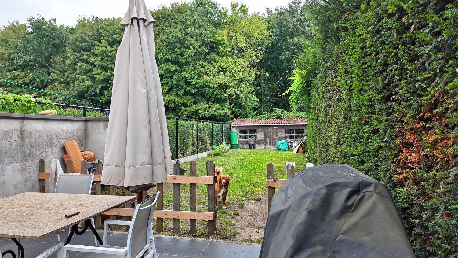Interessante opbrengsteigendom met tuin in de Opeisingstraat foto 14