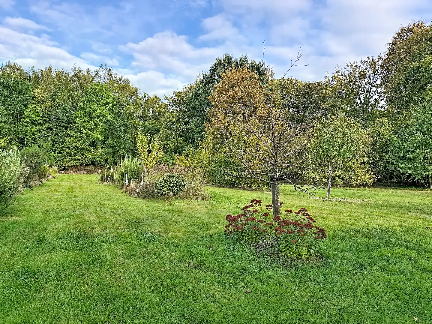 Karaktervolle vrijstaande woning op een prachtig groen perceel foto 30