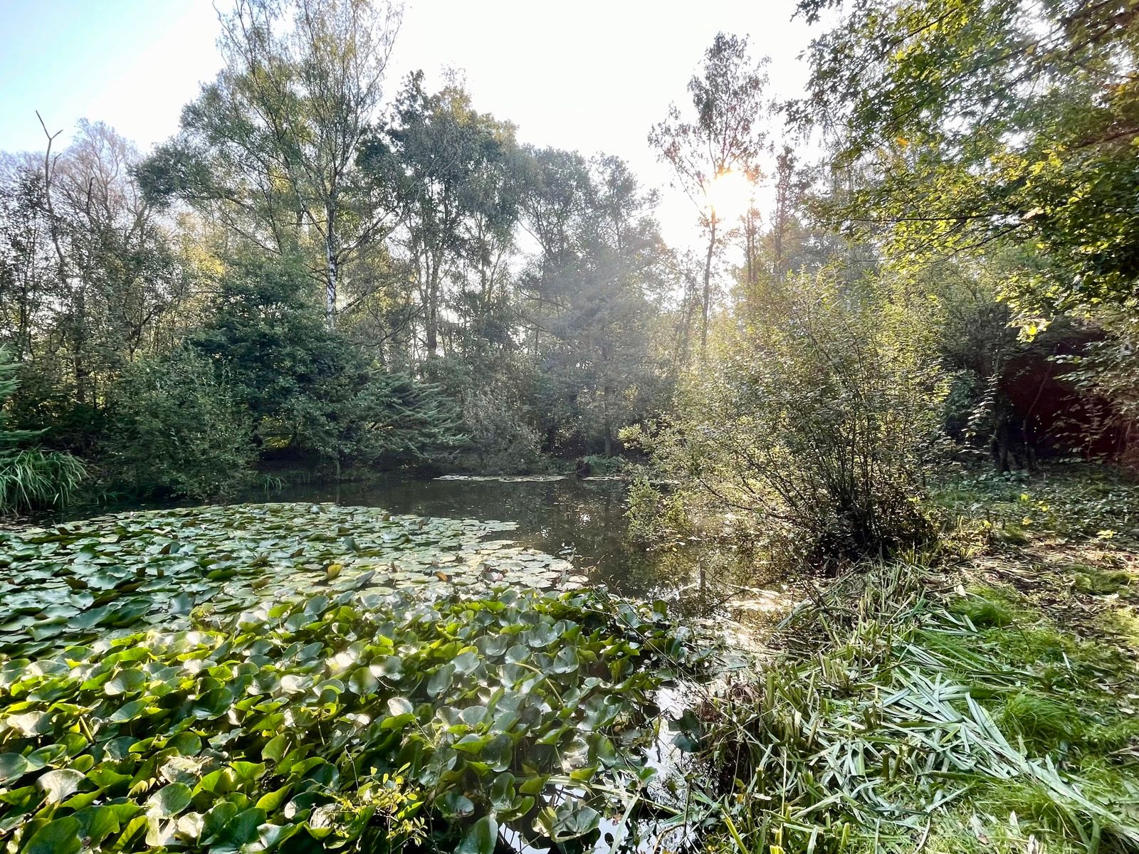 Charmante vakantiewoning te Herselt. foto 6