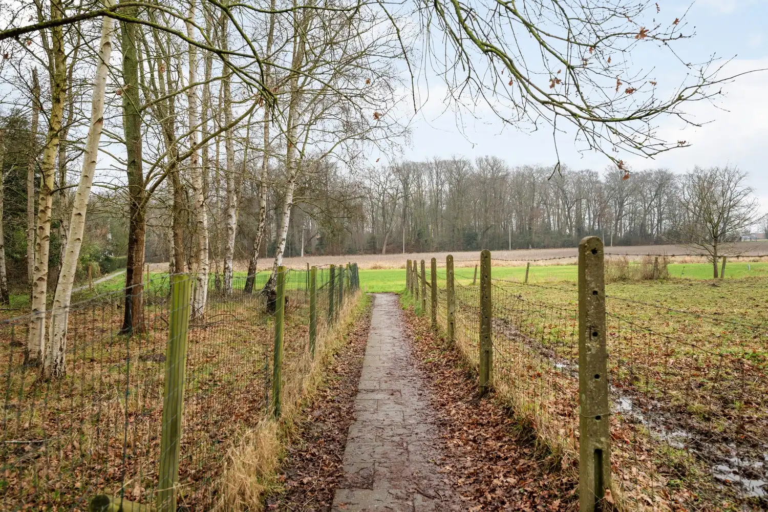Charmante starterswoning of investeringspand op gegeerde locatie – Immerzeeldreef foto 18