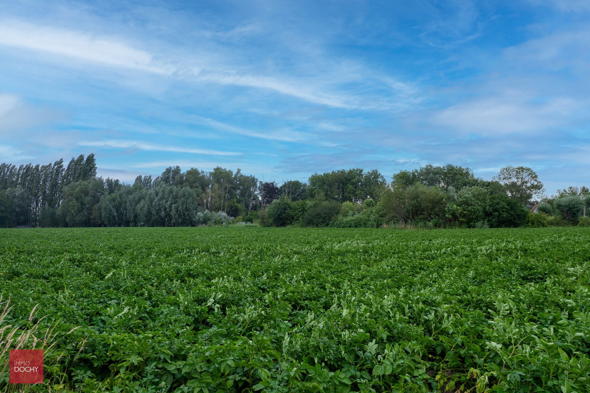 Ruim perceel recratiegrond te koop foto {{pictureIndex}}