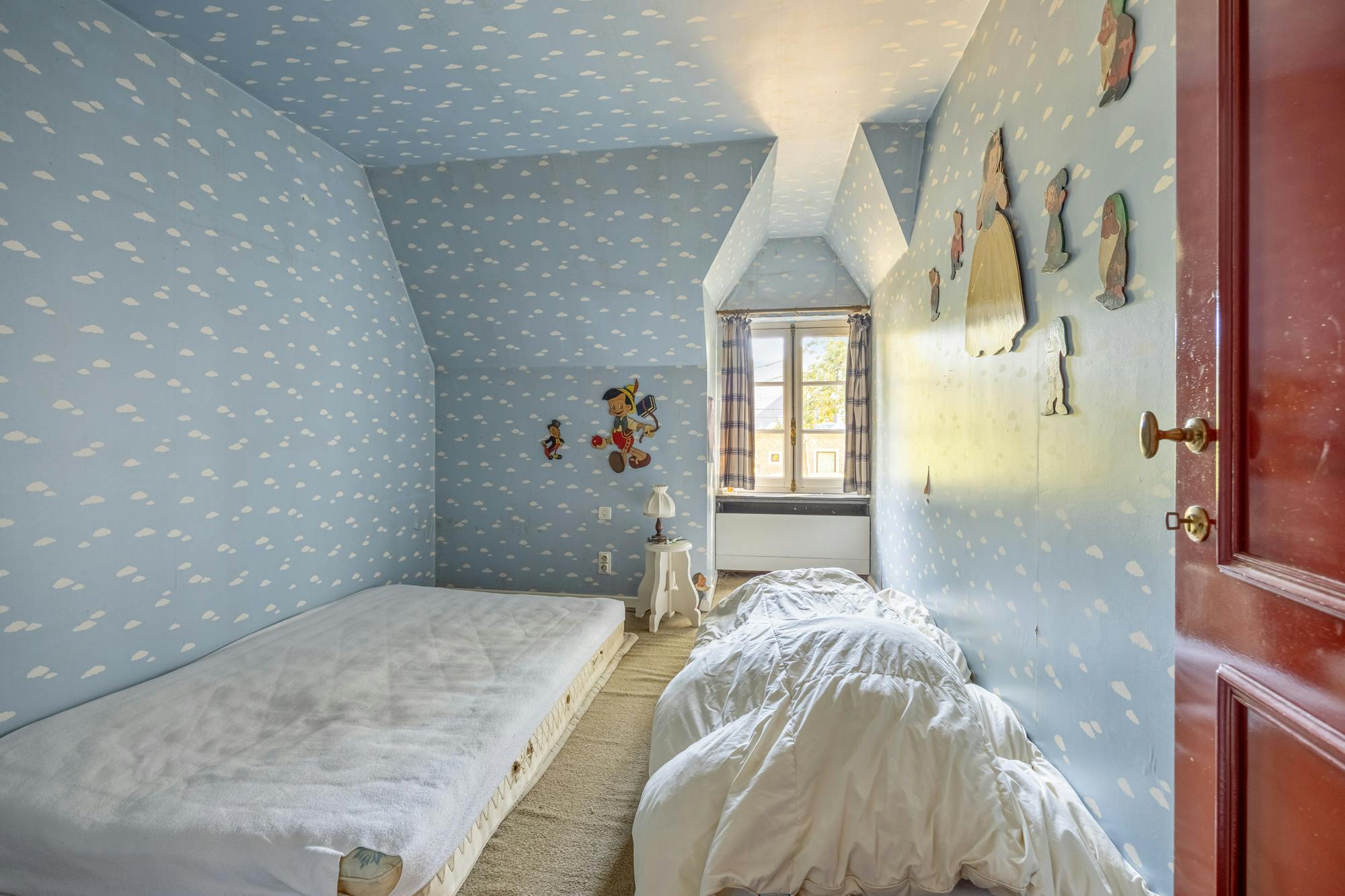 Ruime villa met 7 slaapkamers gelegen in het groen op 13 are foto 21