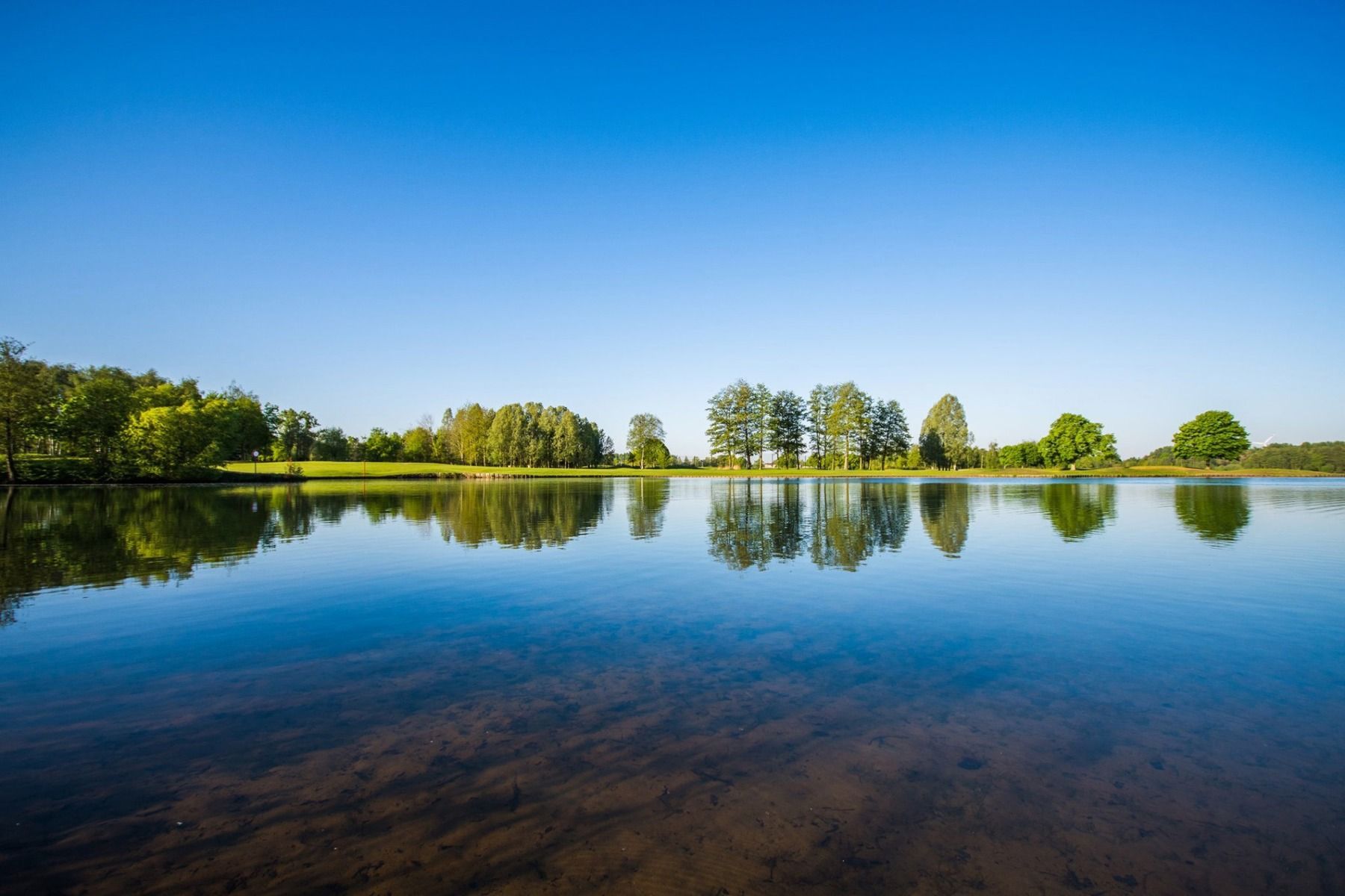 Huis te koop foto 49