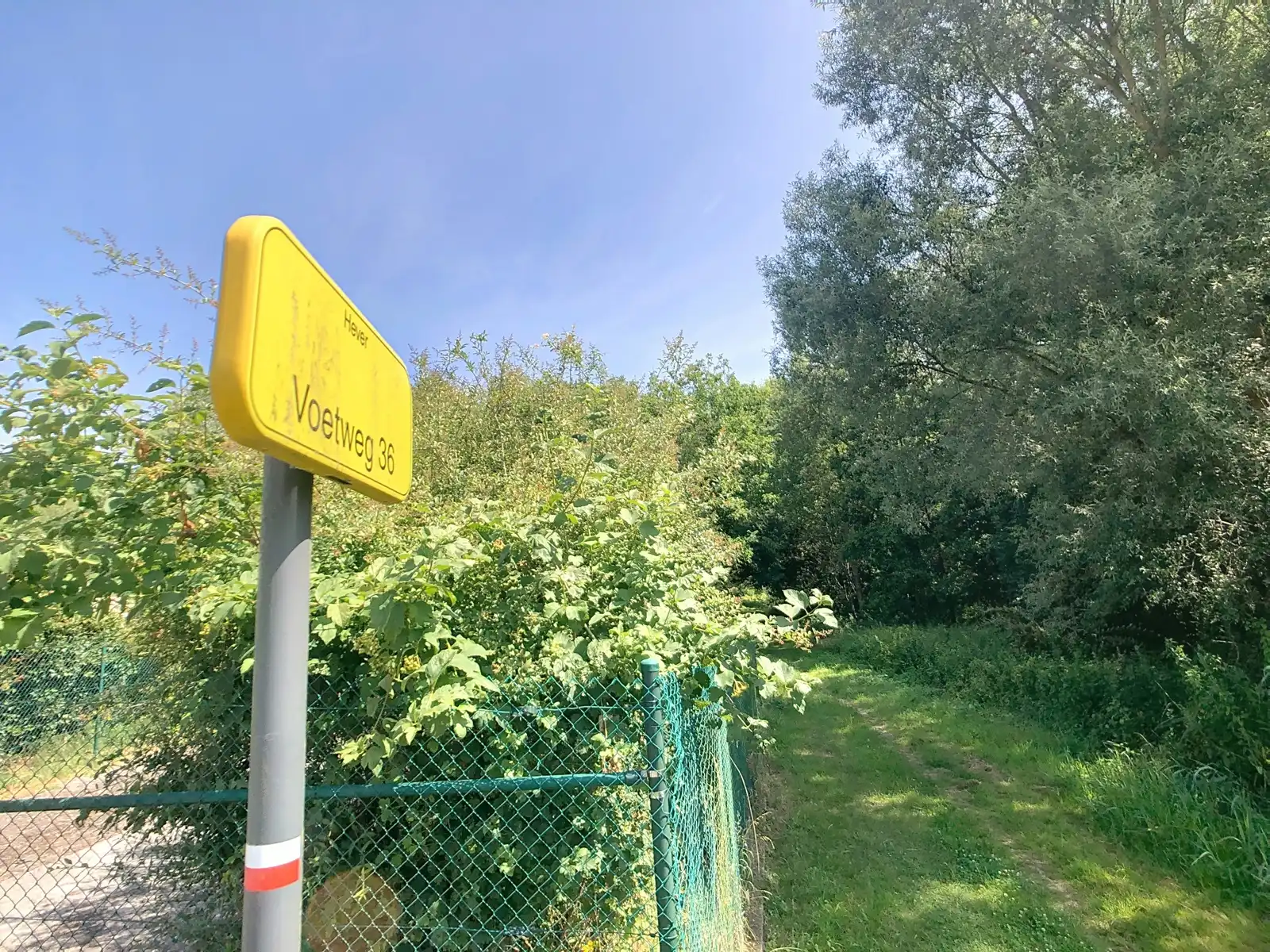 Bosgrond met beek nabij centrum Hever. foto 5