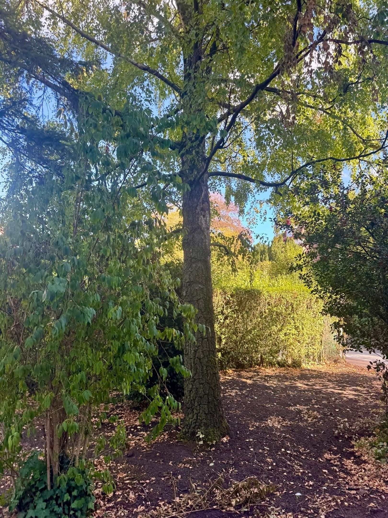 Nieuwbouw HOB in een rustige dreef foto 13