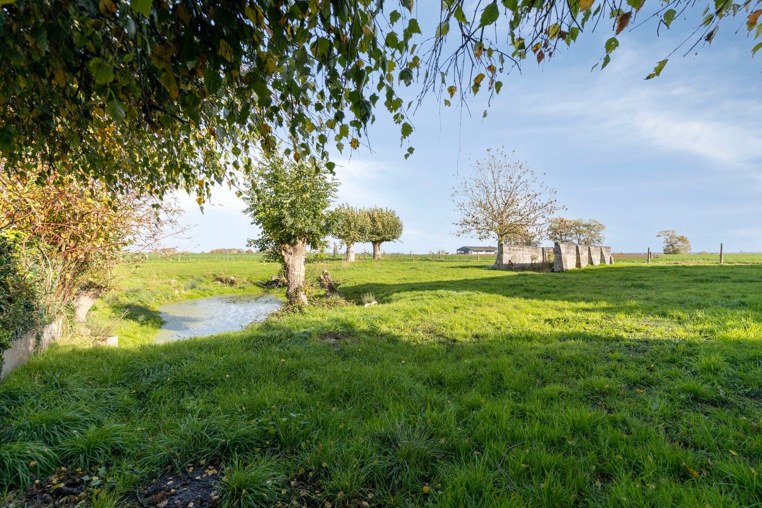 Beveren aan de IJzer: Charmant en historisch hoevetje met woonhuis, diverse stallingen, loods en weide op 3.967m² totale grondopp. foto 26