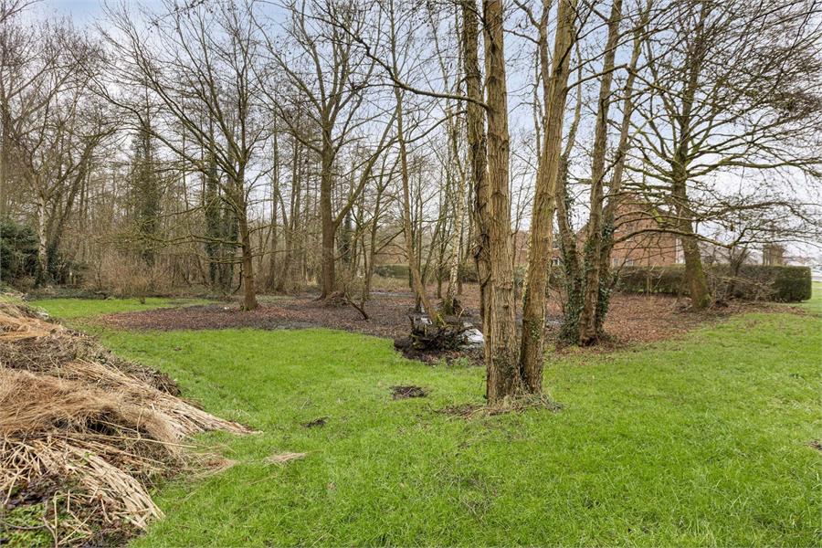 Bouwgrond te koop in Tessenderlo-Ham op perceel van 16a 76ca foto 5