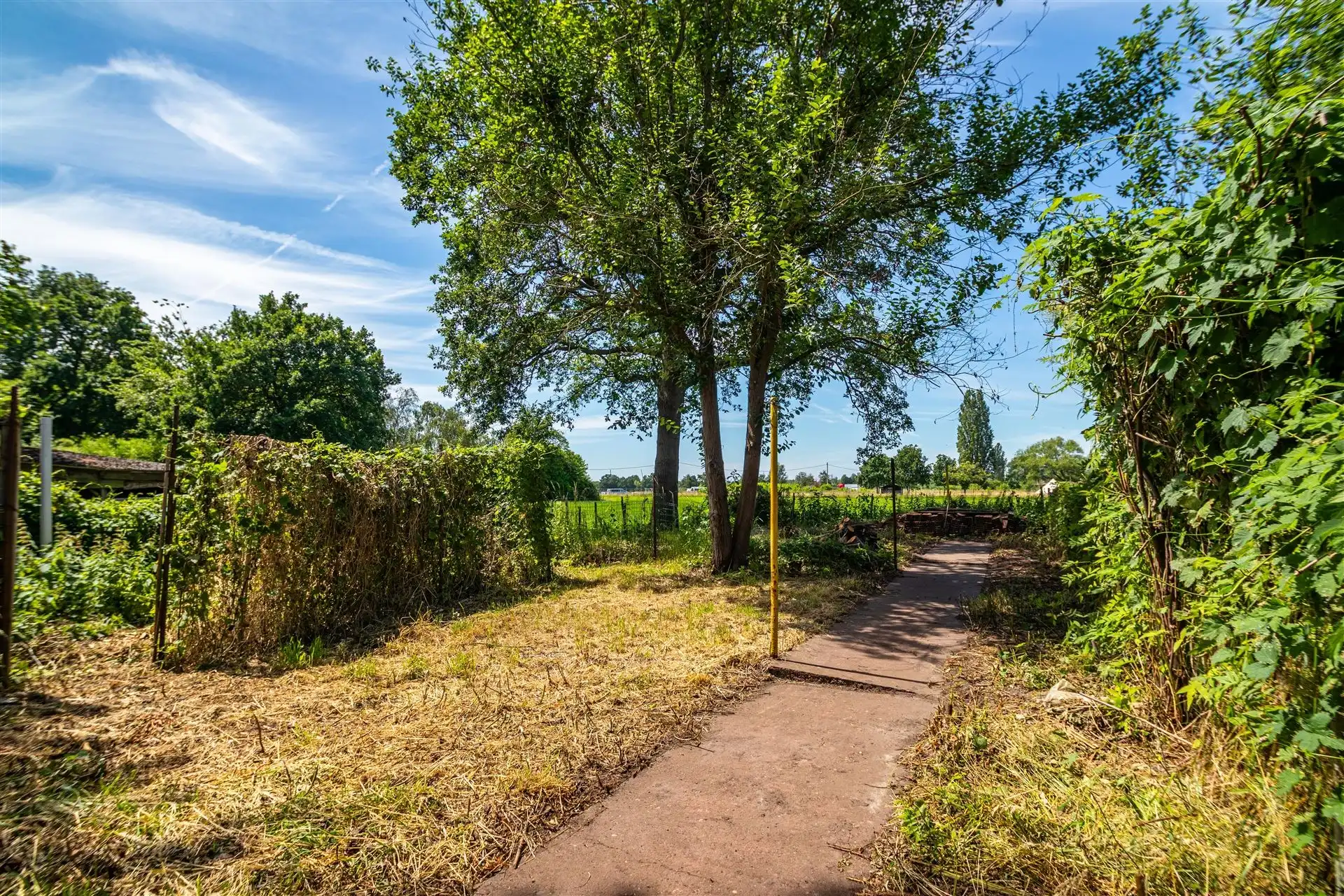 Statige woning met vrij uitzicht & vergund bijgebouw foto 20