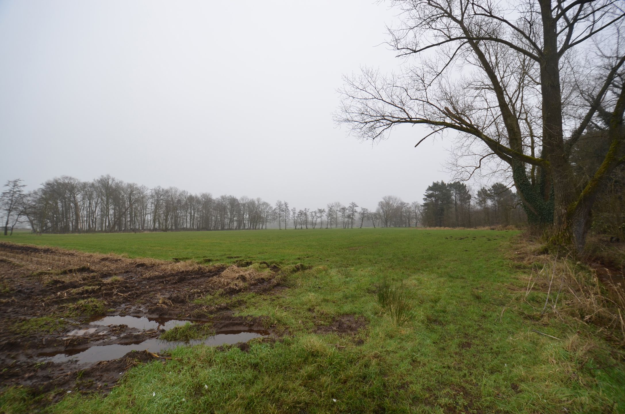 Landbouwgrond van 18.400 m² foto 6