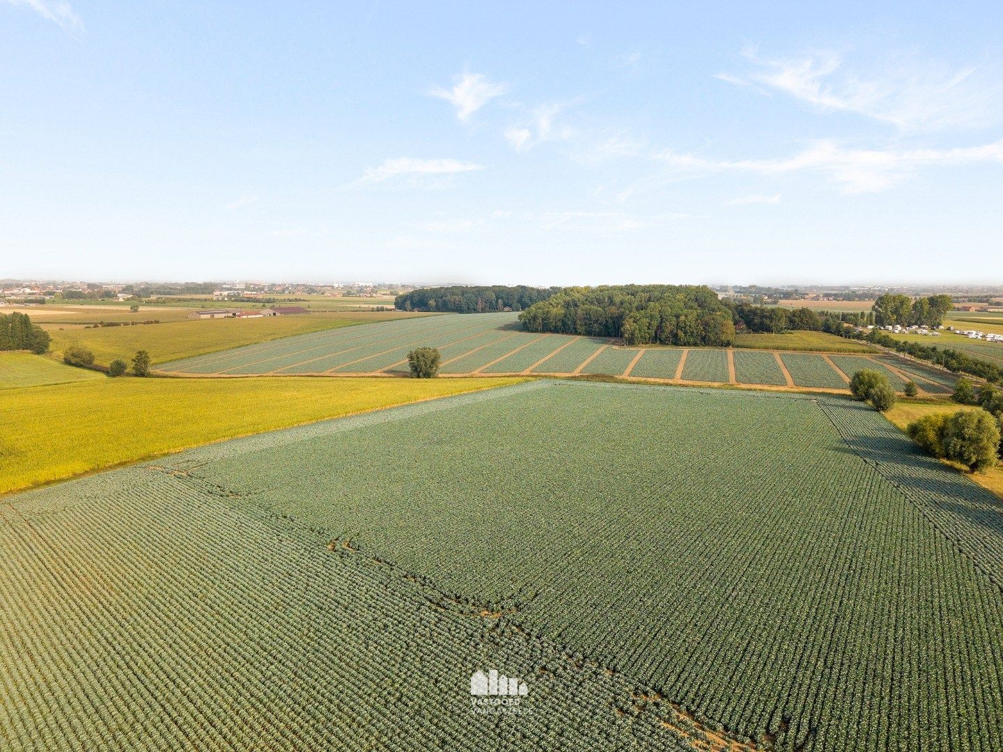Goed onderhouden villa met grote tuin en twee garages op centrale ligging.   foto 35