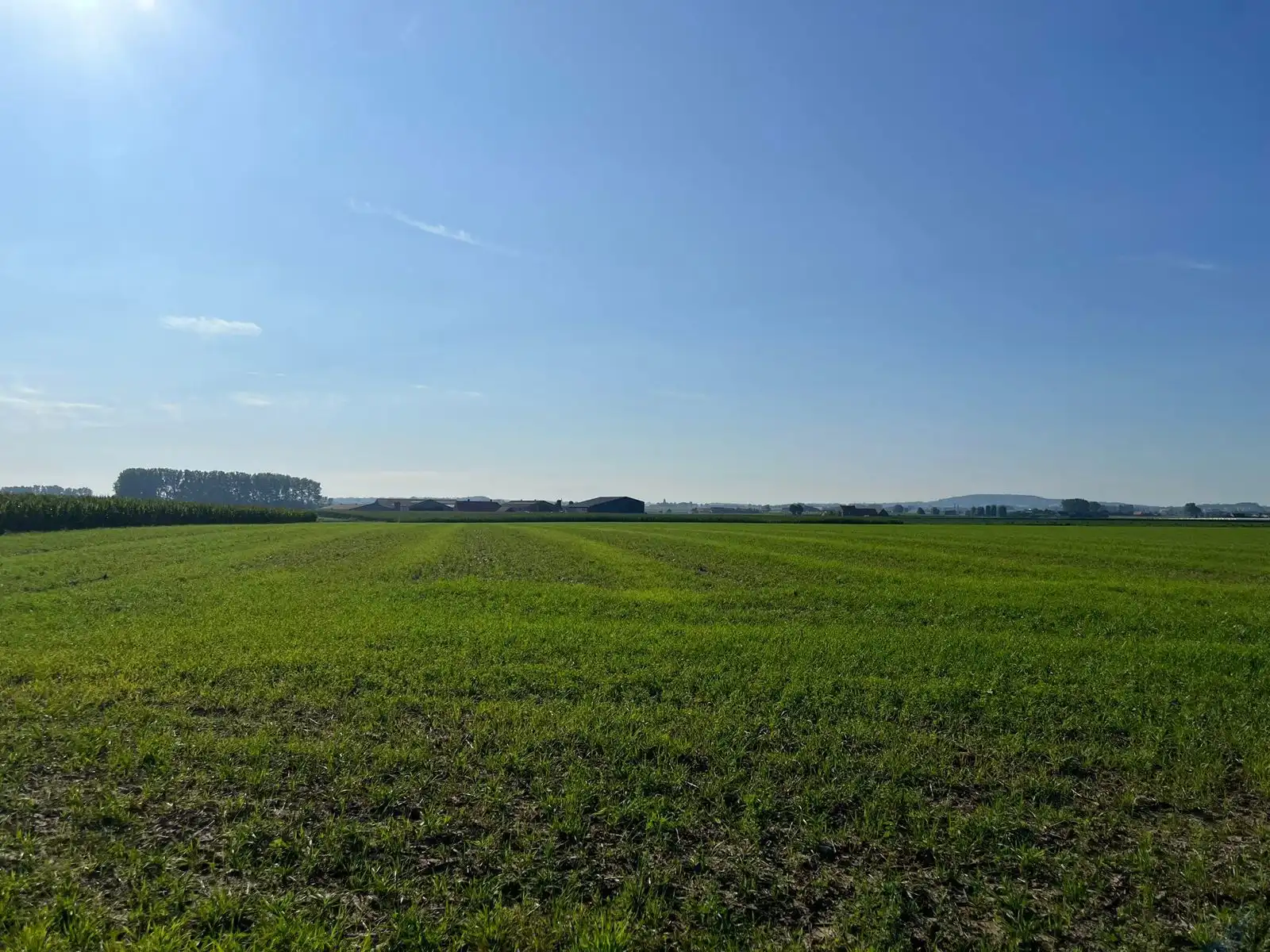 Grond te koop foto 8