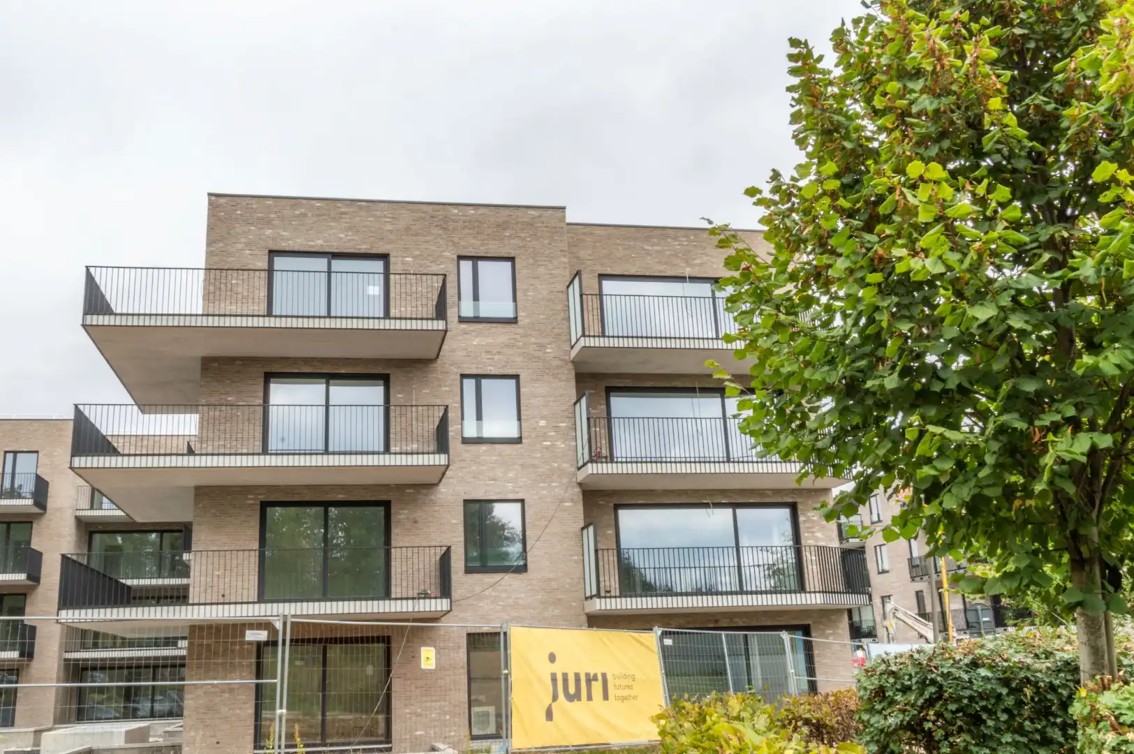 Hoogland - Kwikstaart (fase 3)  foto 3