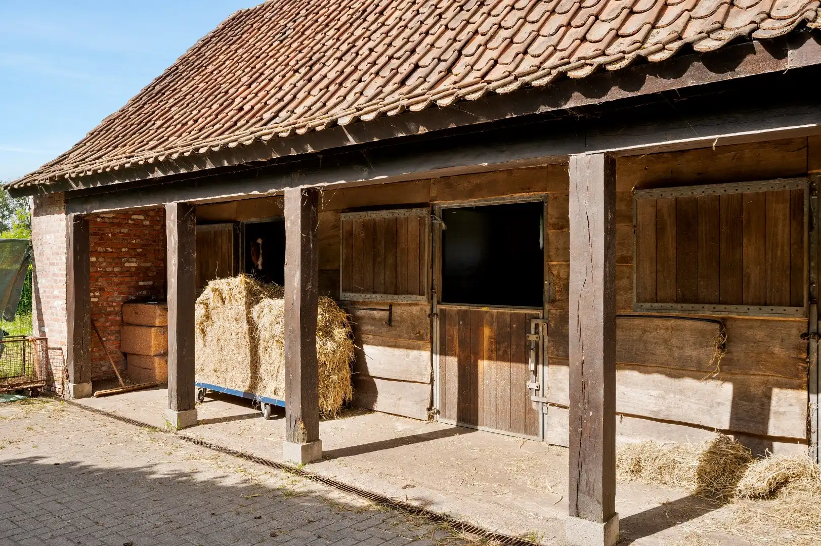 Uitzonderlijke hoeve met binnenpiste en paardenstallen op 1,88 hectare foto 25