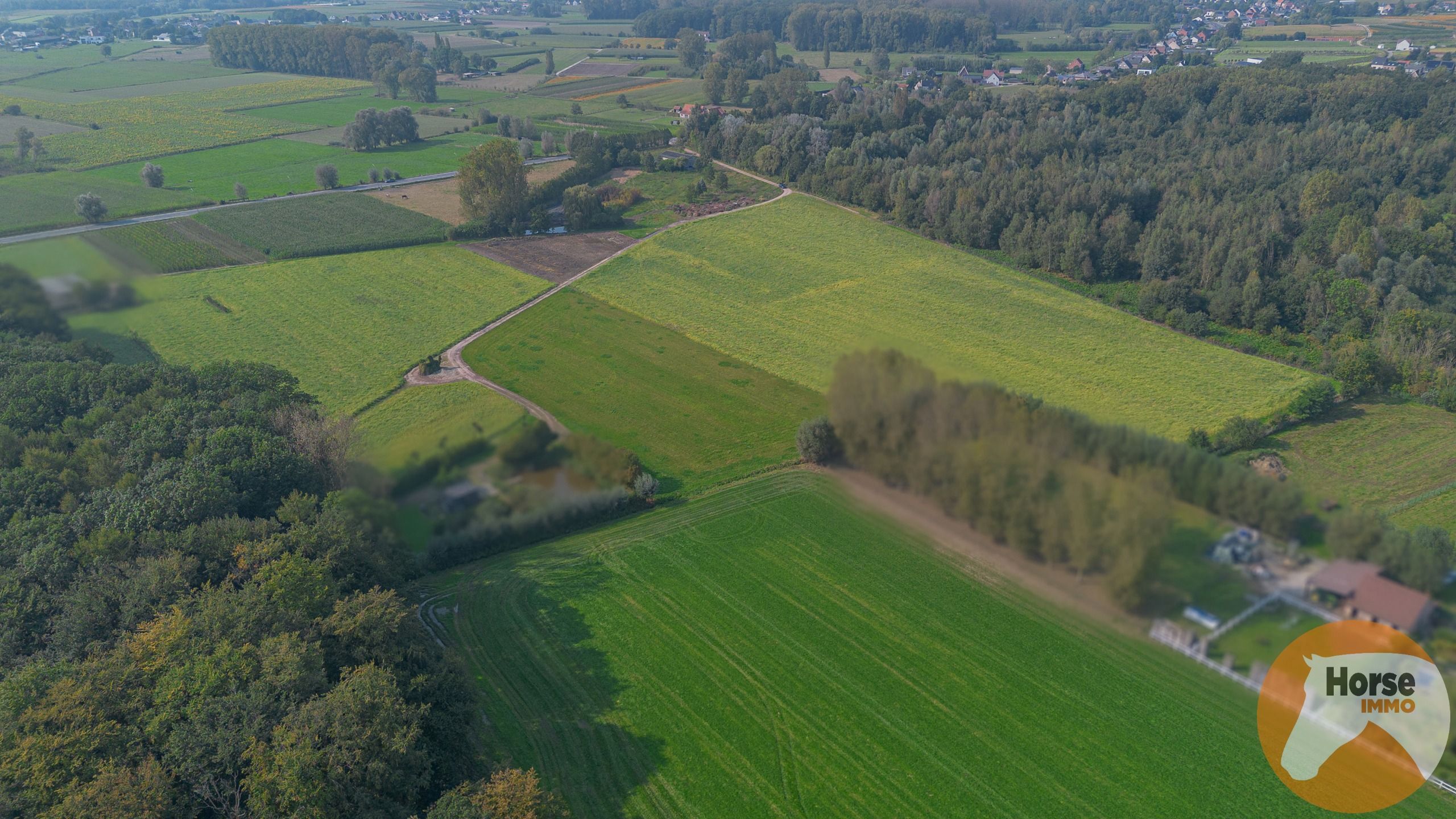 WETTEREN - Landbouwgrond +/-5 HA 53  foto 6