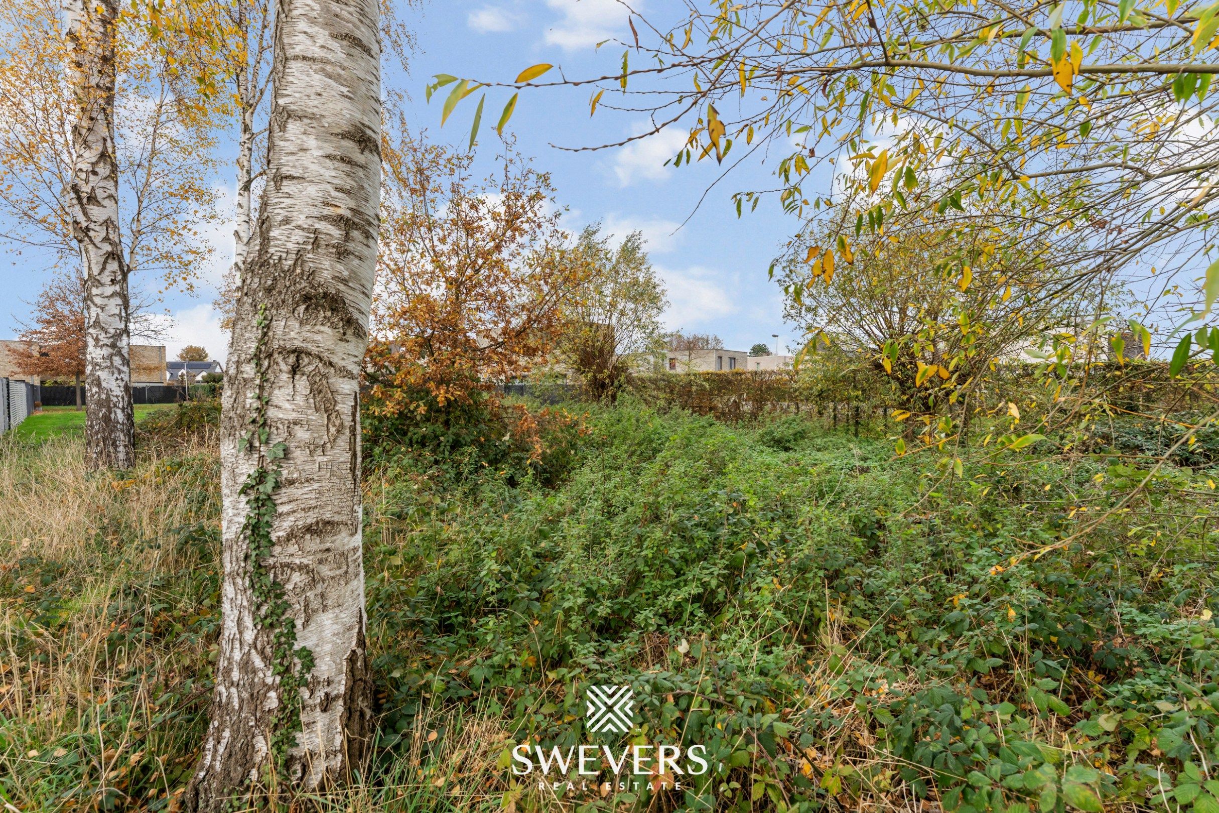 Ruime bouwgrond van 8a 8ca met zuidoost gerichte tuin rustig gelegen te Diepenbeek foto 14