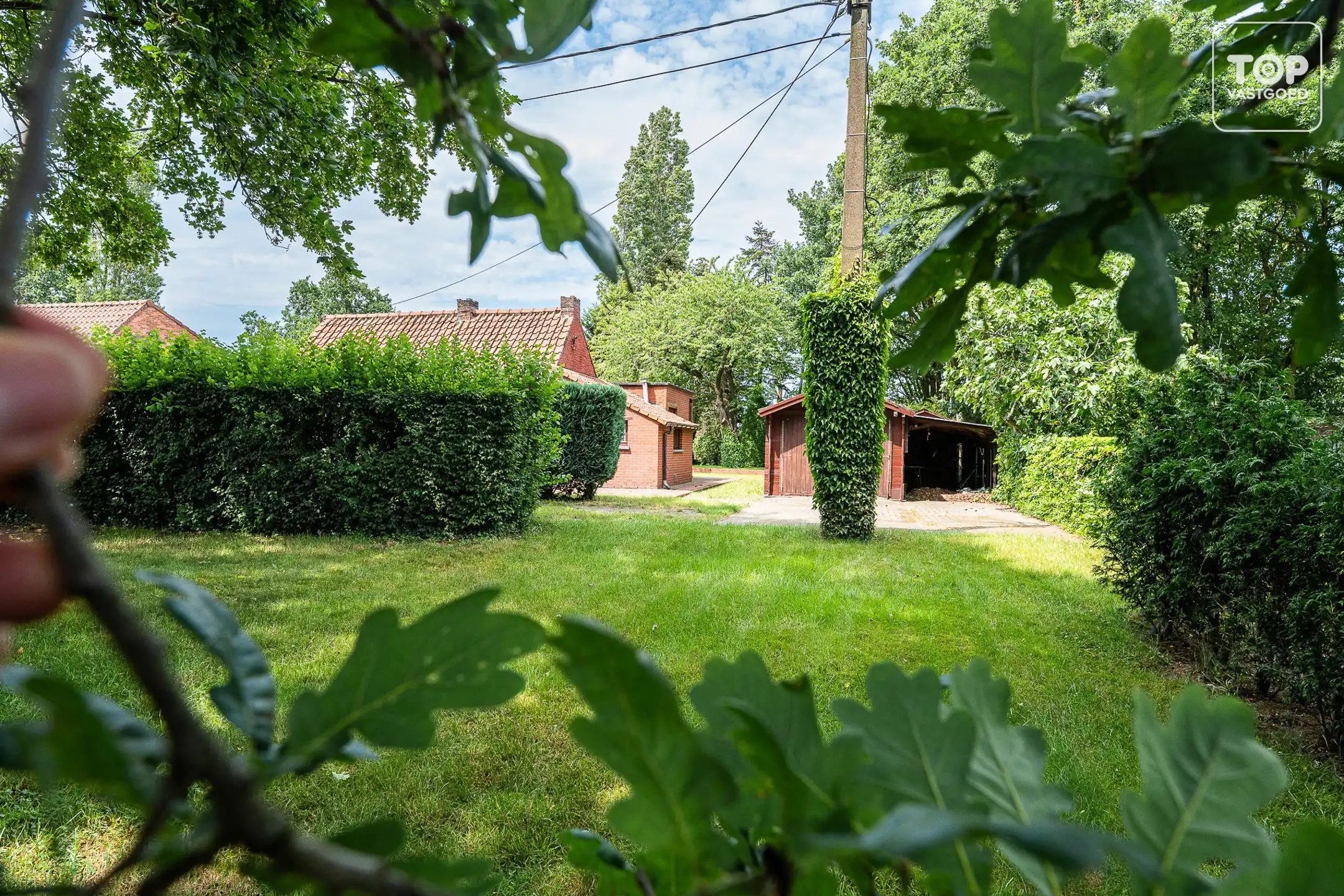 Huis te koop foto 16