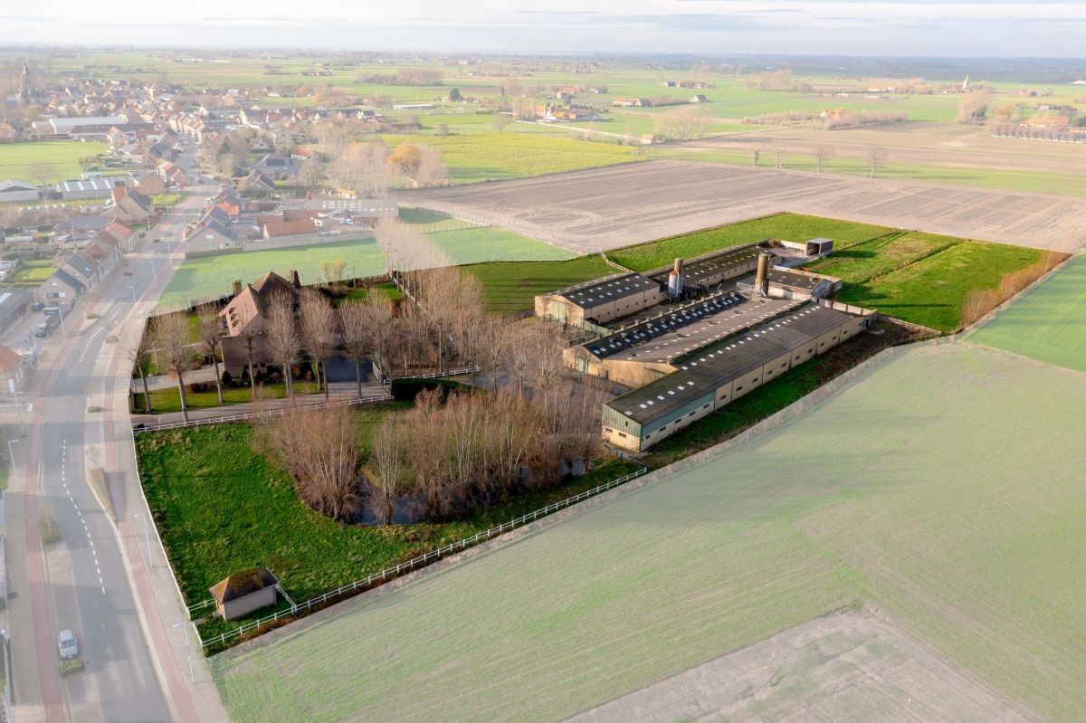 Vleesveebedrijf te koop op 3,29 ha te koop te Alveringem foto 8