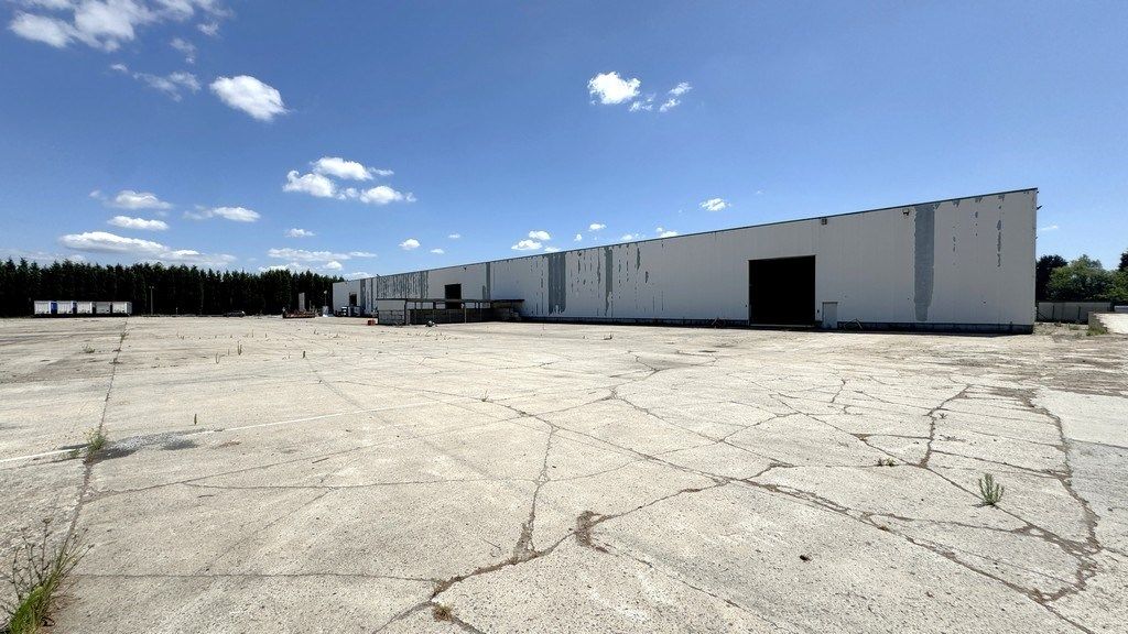 Loods met 1 hectare buitenopslag te huur in Rumst foto 9