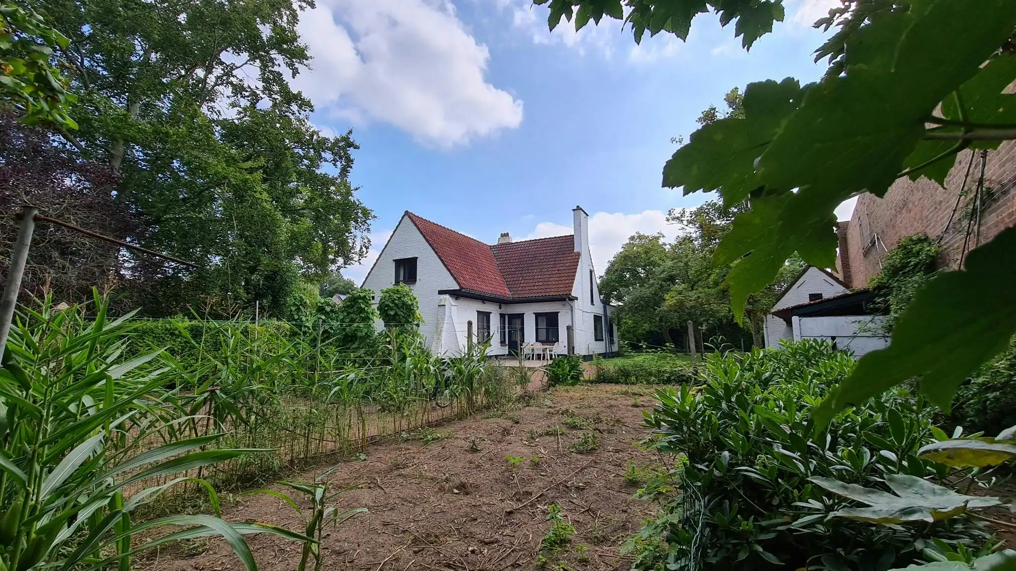Te renoveren villa met 4 kamers te koop in centrum Deerlijk foto 3