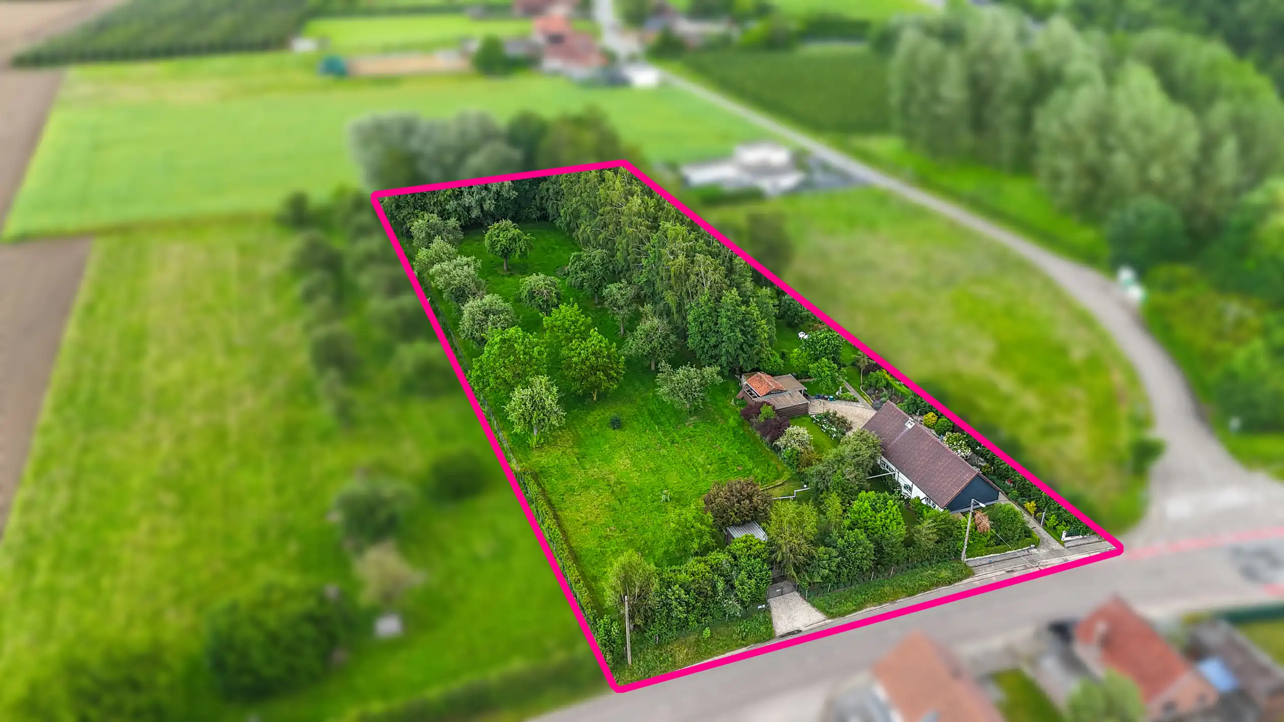 Authentieke hoeve met perceel van 68are en 2slpks! foto 63