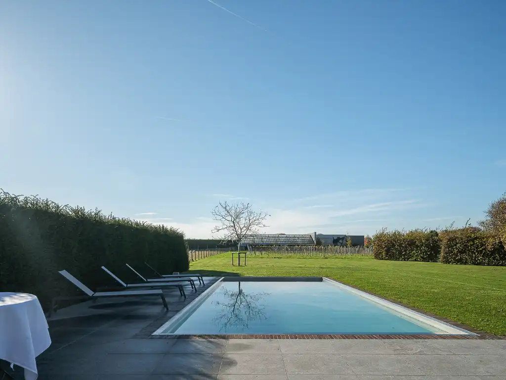 Karaktervolle gerenoveerde hoeve met zwembad en wijngaard op 4.700 m² te Vurste foto 3