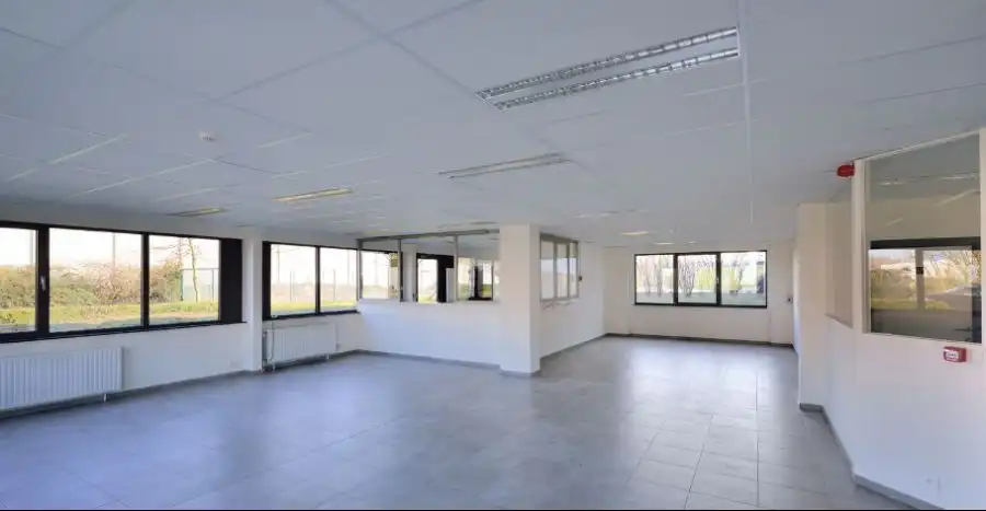 Pedro Colomalaan 11, 2880 Bornem foto 3