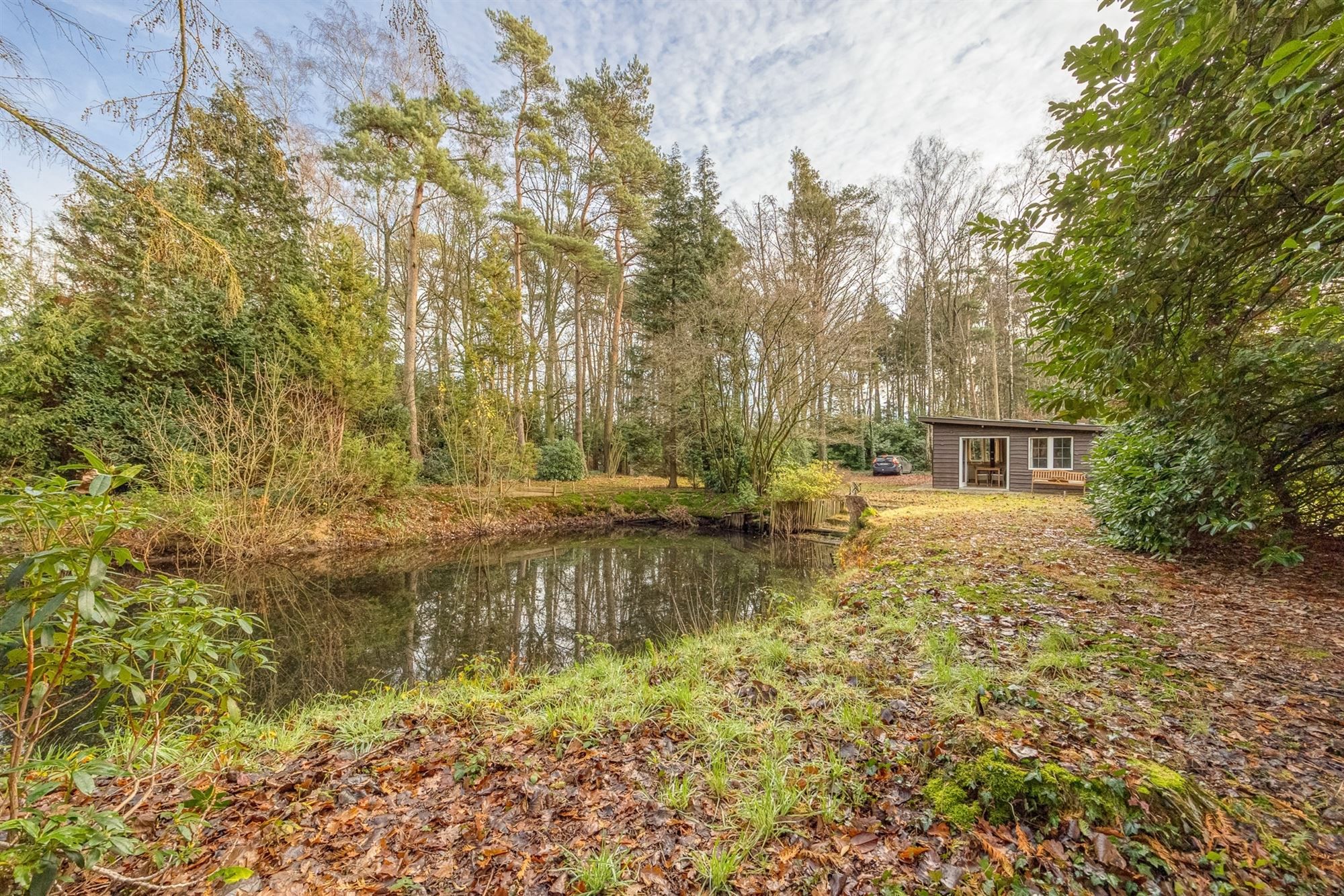 Charmante chalet met privatieve vijver op idyllisch perceel foto 33