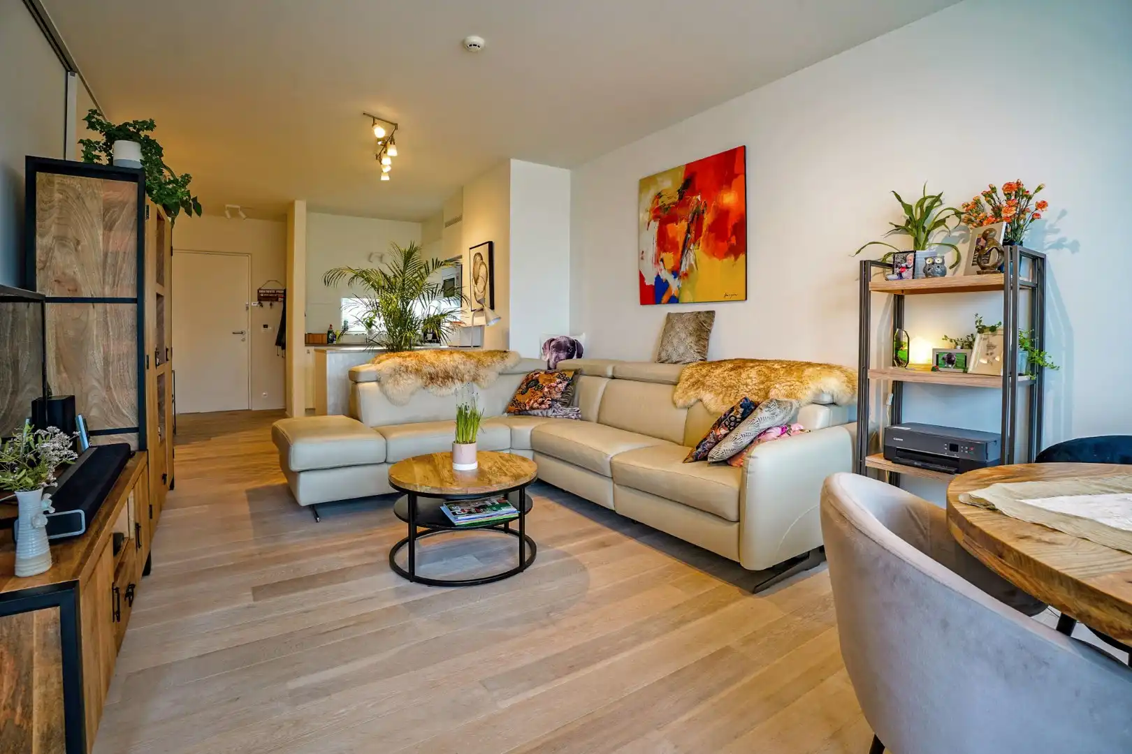 Prachtig 1-slaapkamerappartement met ruim terras (serviceflat) in Residentie Beukenhof, uniek wonen in de dorpskern van Oostduinkerke.  foto 4