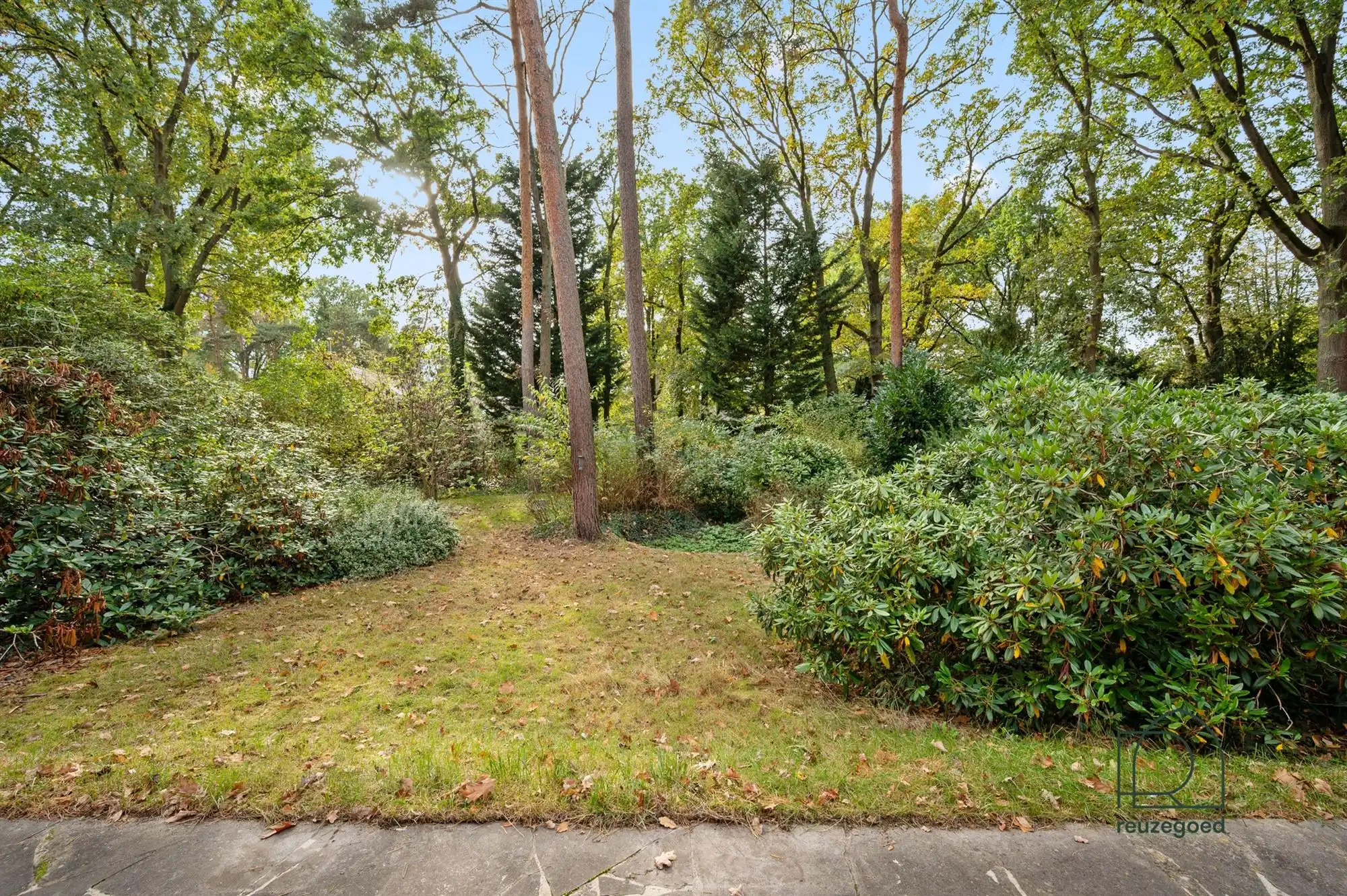 Unieke bungalow (4 slaapkamers) in het groen van Bonheiden  foto 25