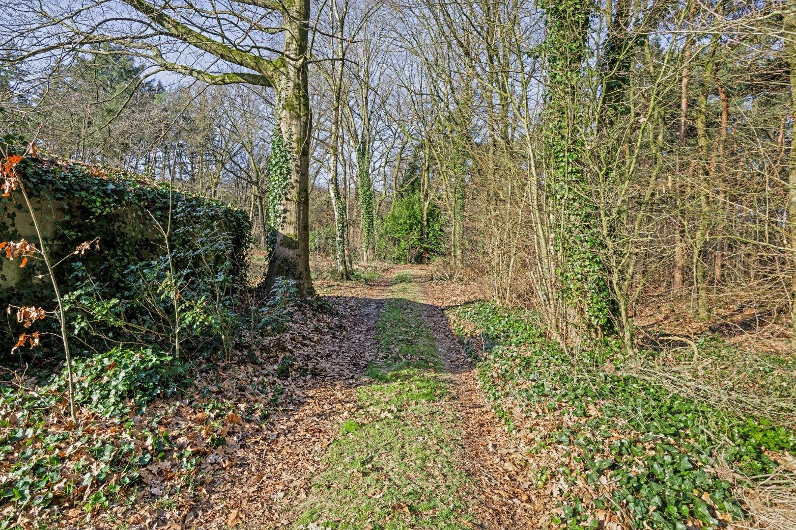 Unieke woonst op 620 are: rust, natuur en eindeloze mogelijkheden! foto 11