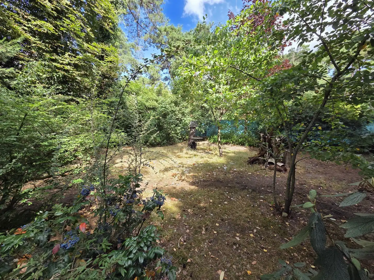 Ruime open bebouwing op 10a 51ca met potentieel. foto 23