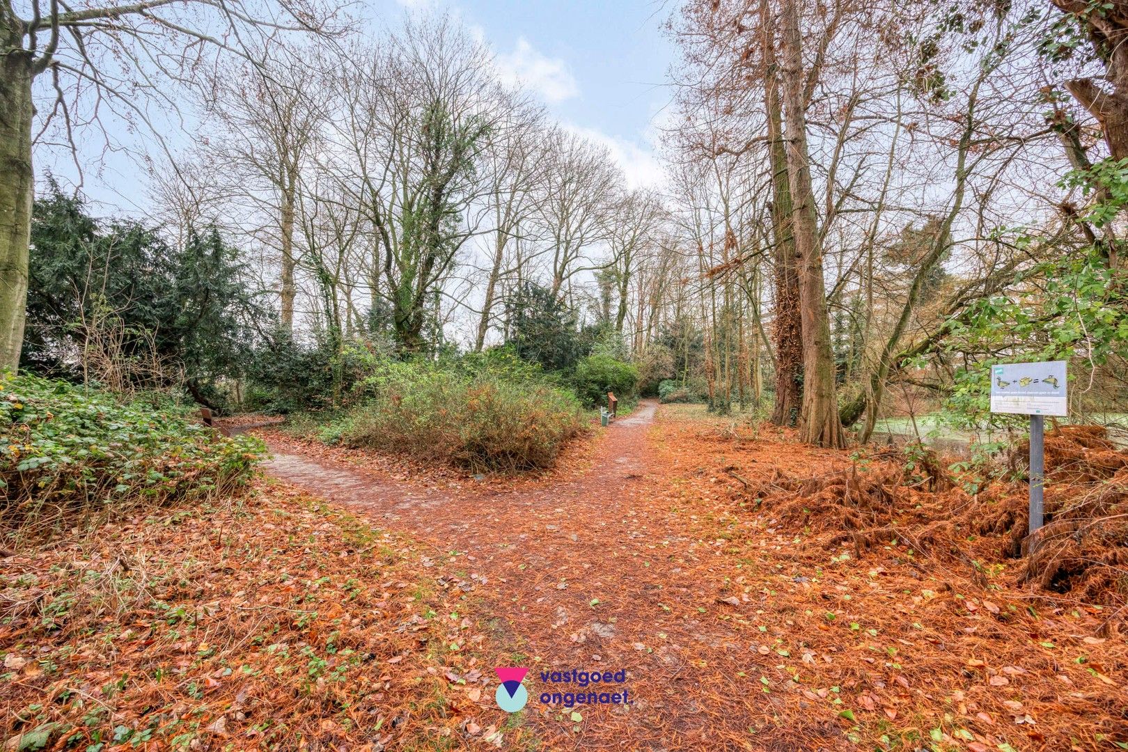 3-gevel woning – Lieve Park foto 12