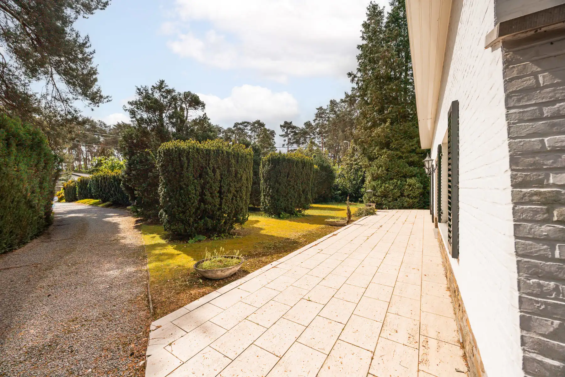 Te renoveren open laagbouwwoning op 2.497 m² te Tremelo foto 4