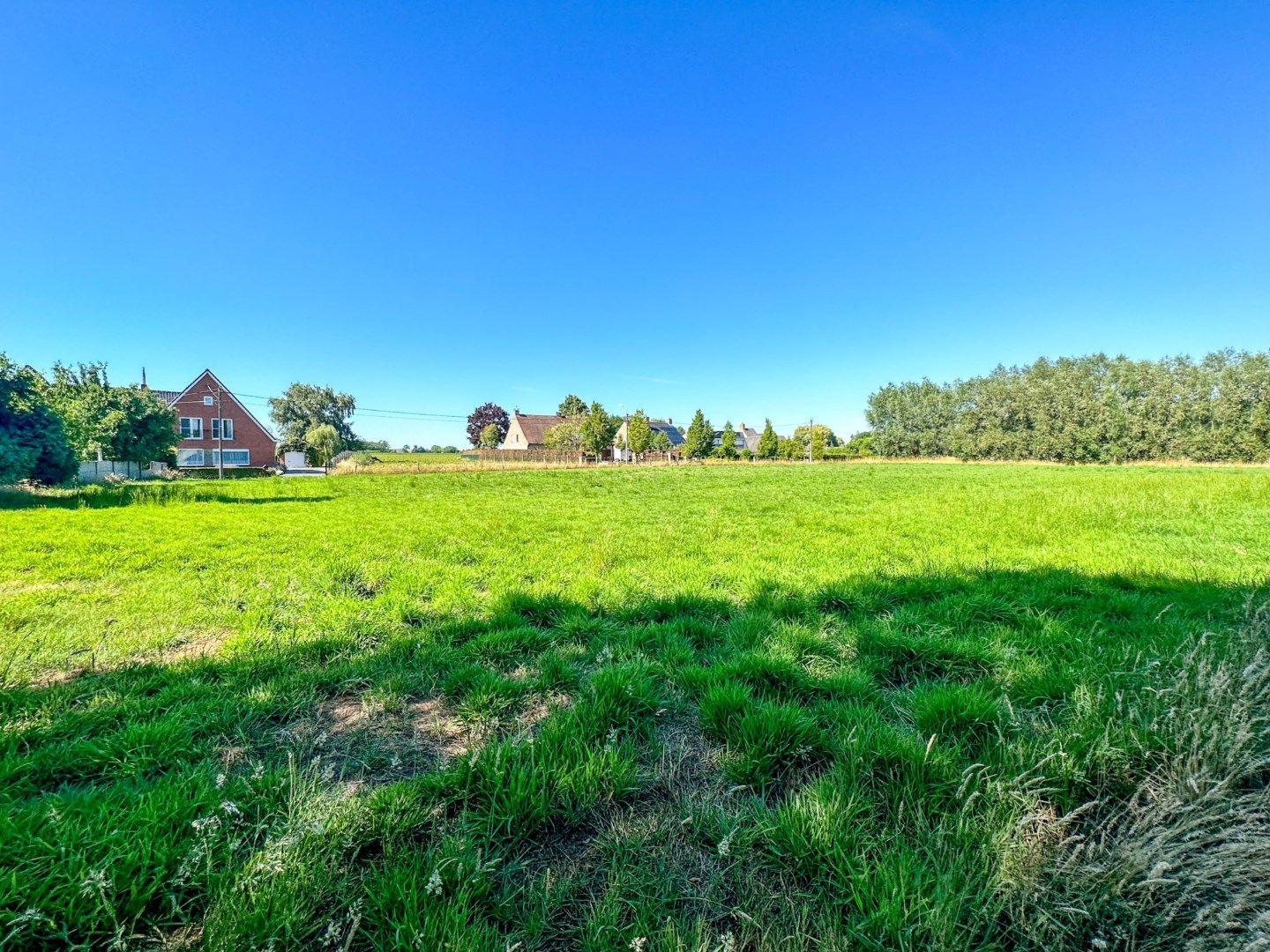 Te renoveren hoeve op unieke ligging in Torhout, vlak bij Groenhovebos foto 23