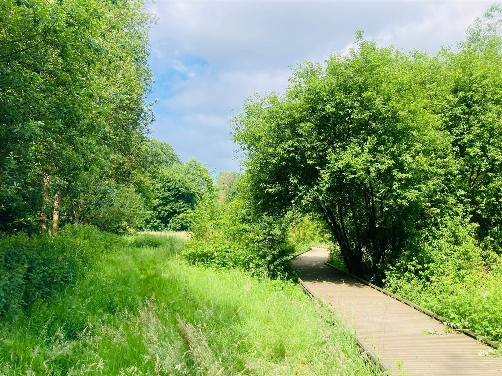 Nieuwbouw gelijkvloers 1 SLK met eigen tuin in hartje Mariaburg foto 5