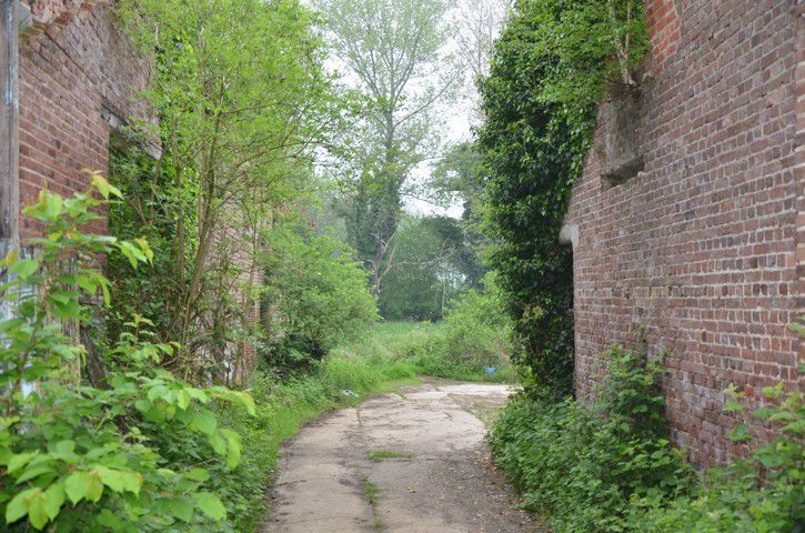 De Wintershovenmolen: een historische parel op 1h 80a foto 13