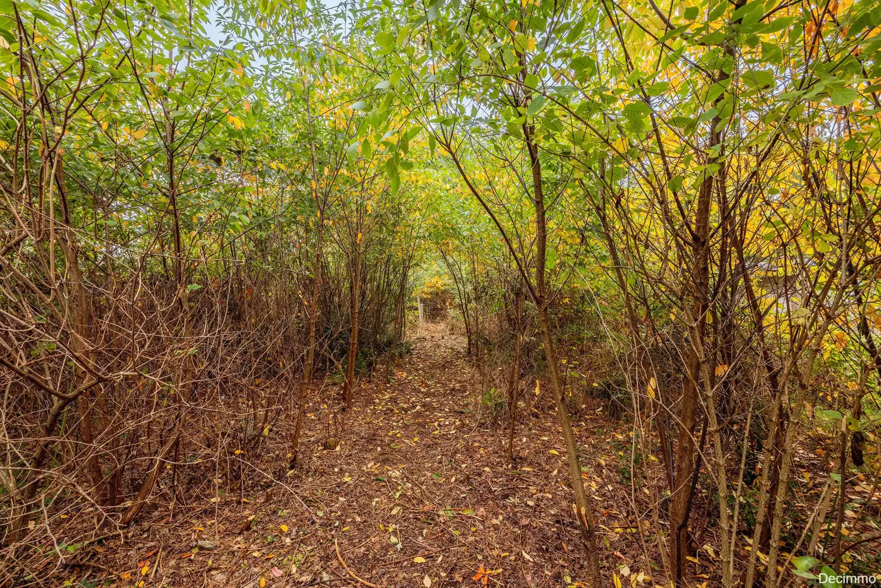 Op te frissen gezinswoning gelegen op rustige locatie foto 6