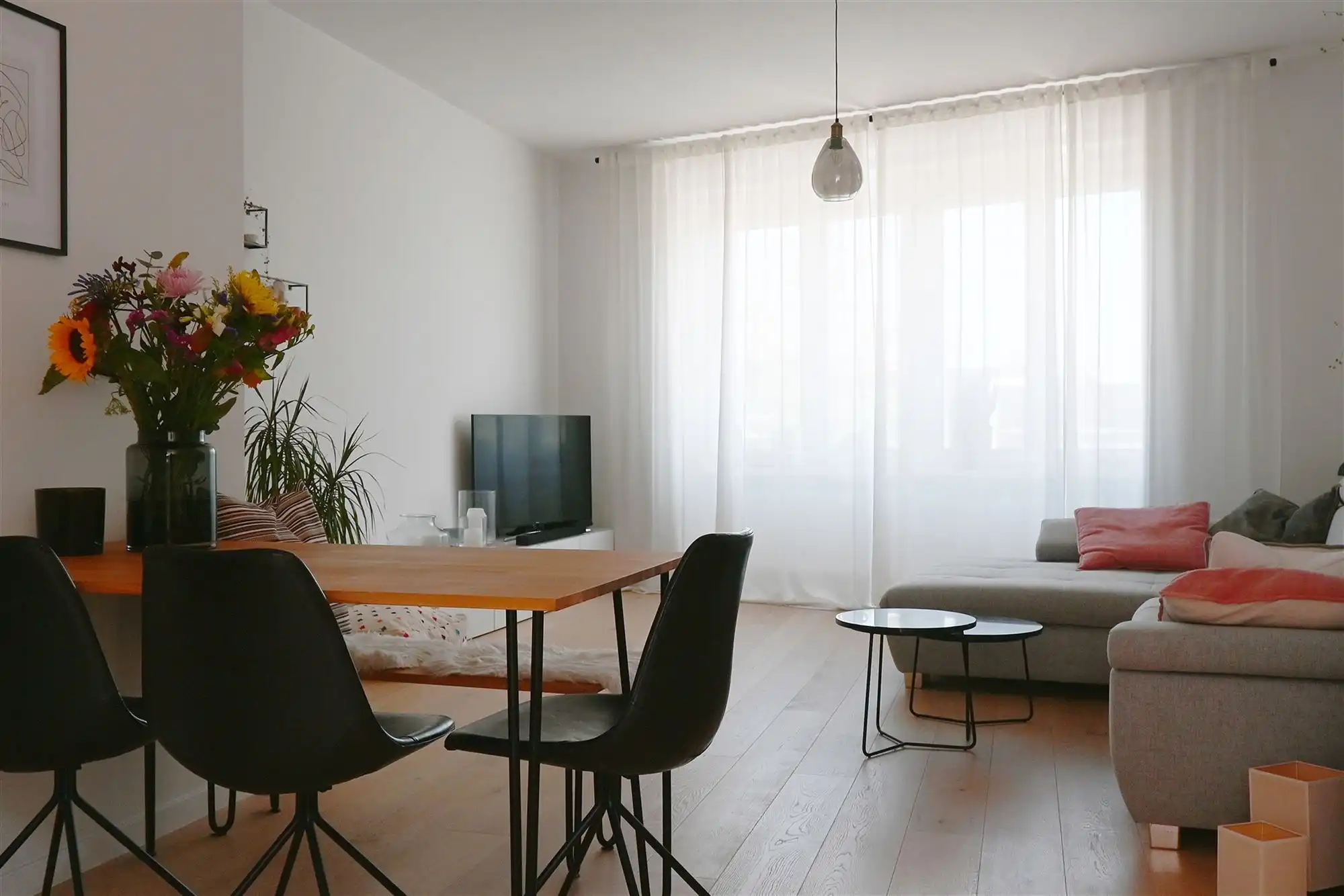 Modern en lichtrijk 1-slaapkamer appartement in Mortsel foto 2