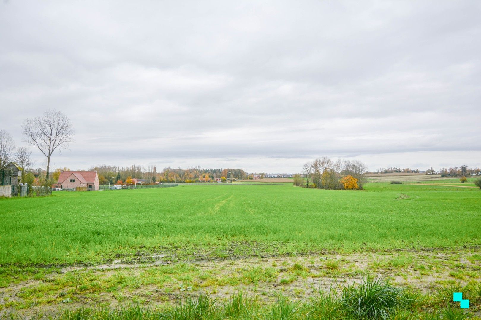 Landelijk gelegen nieuwbouw villa te Zonnebeke foto 4
