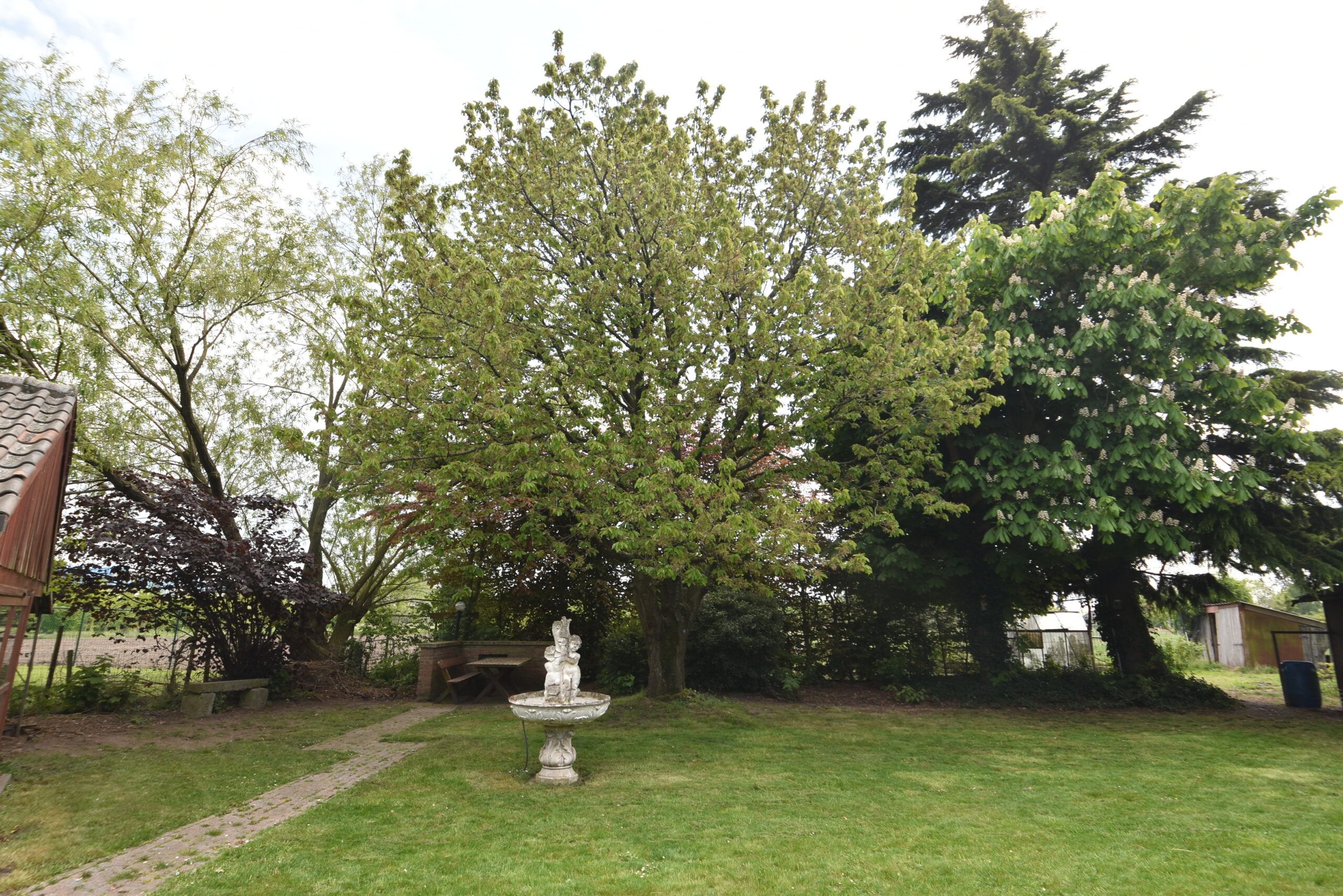 Charmante open bebouwing (4 spks) in Verrebroek foto 22