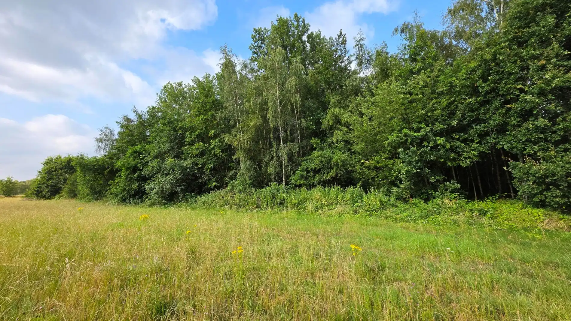 GROEN PERCEEL VAN 3.410 M² IN BETEKOM foto 8