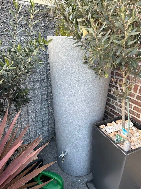 Niet enkel in een oester kan u een pareltje vinden... foto 40