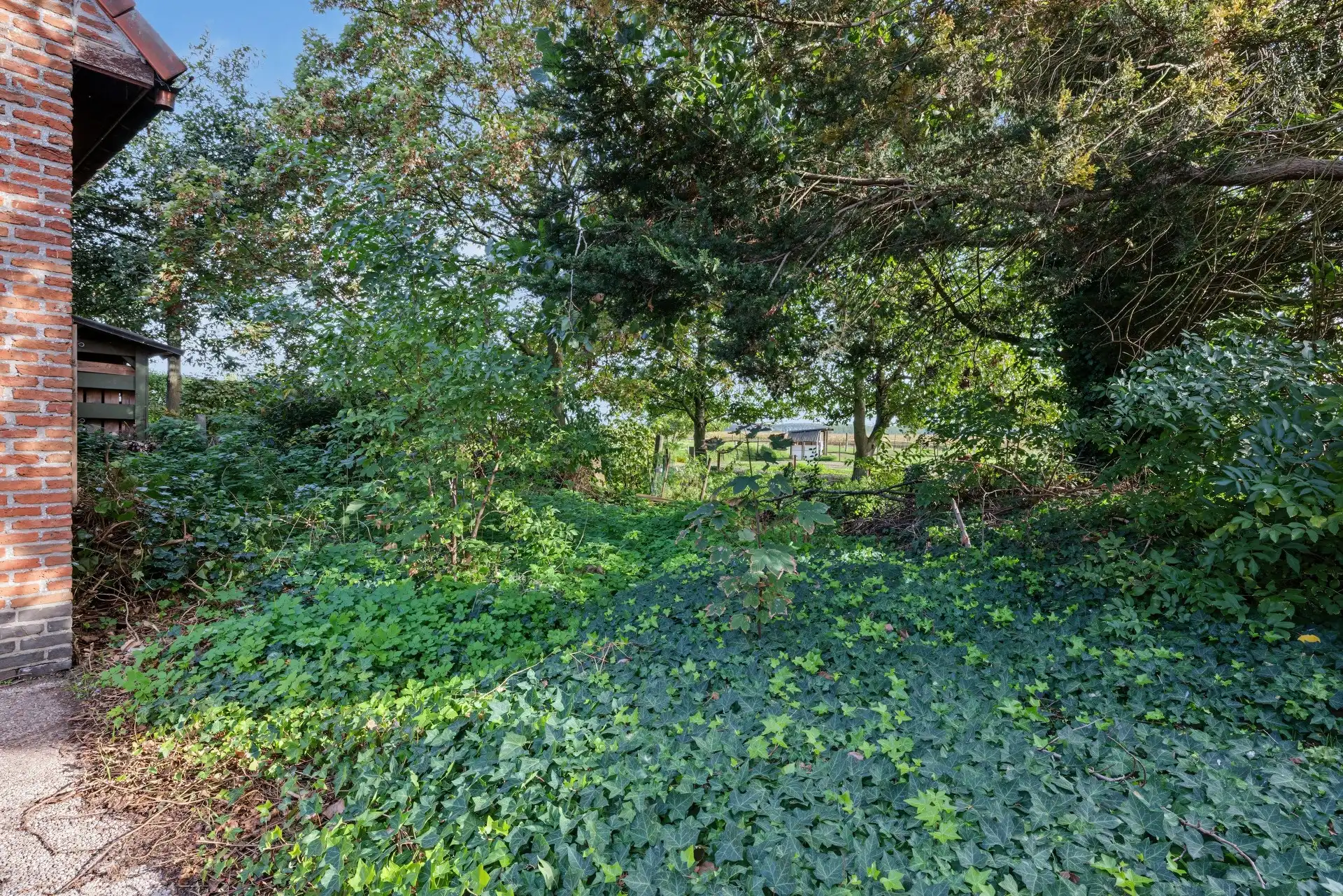 Te renoveren gezinswoning op een uitstekende woonlocatie & mooi perceel van 536m² foto 22
