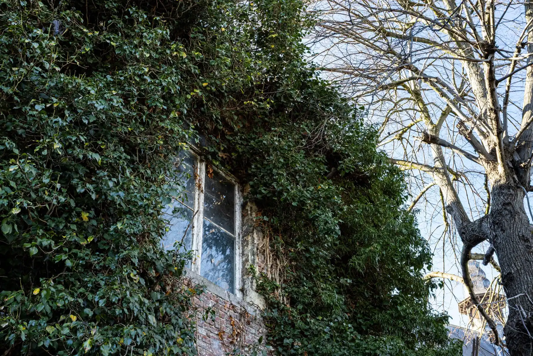 Te renoveren herenwoning in hartje Aalst!  foto 14