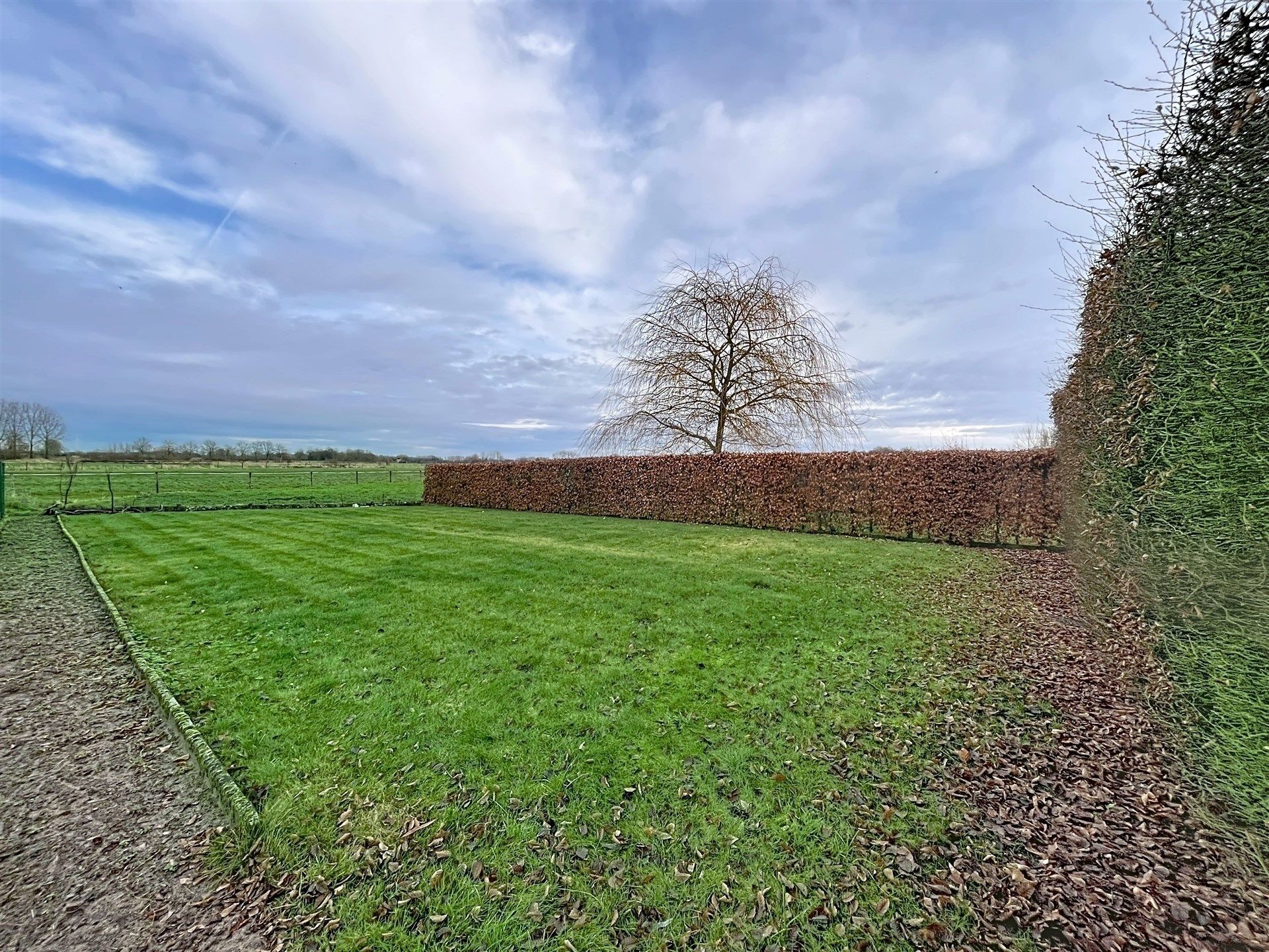 Ruime woning met 3 slaapkamers en grote garage op perceel van 1148 m² met zicht op oneindig groen.  foto 2