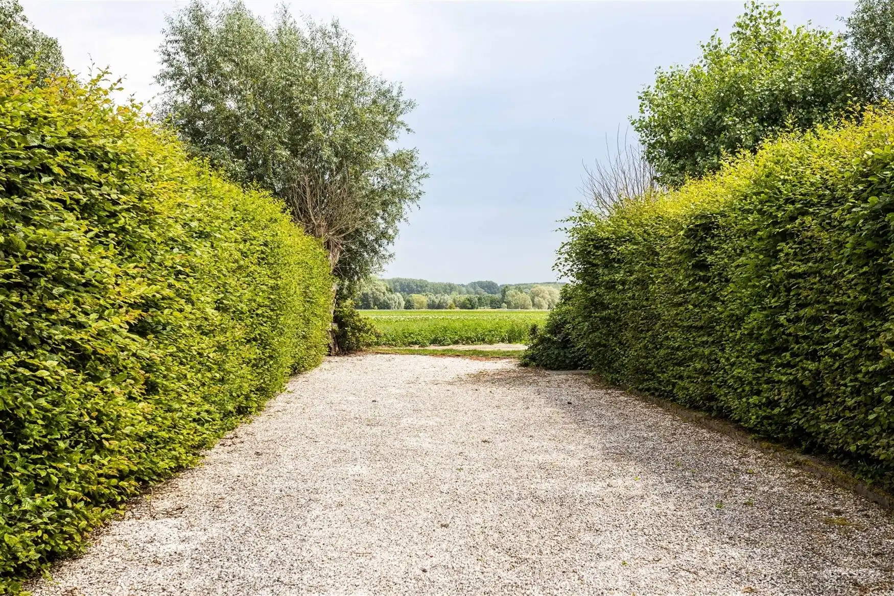 Riante eigendom met ontwikkelingsmogelijkheden foto 23