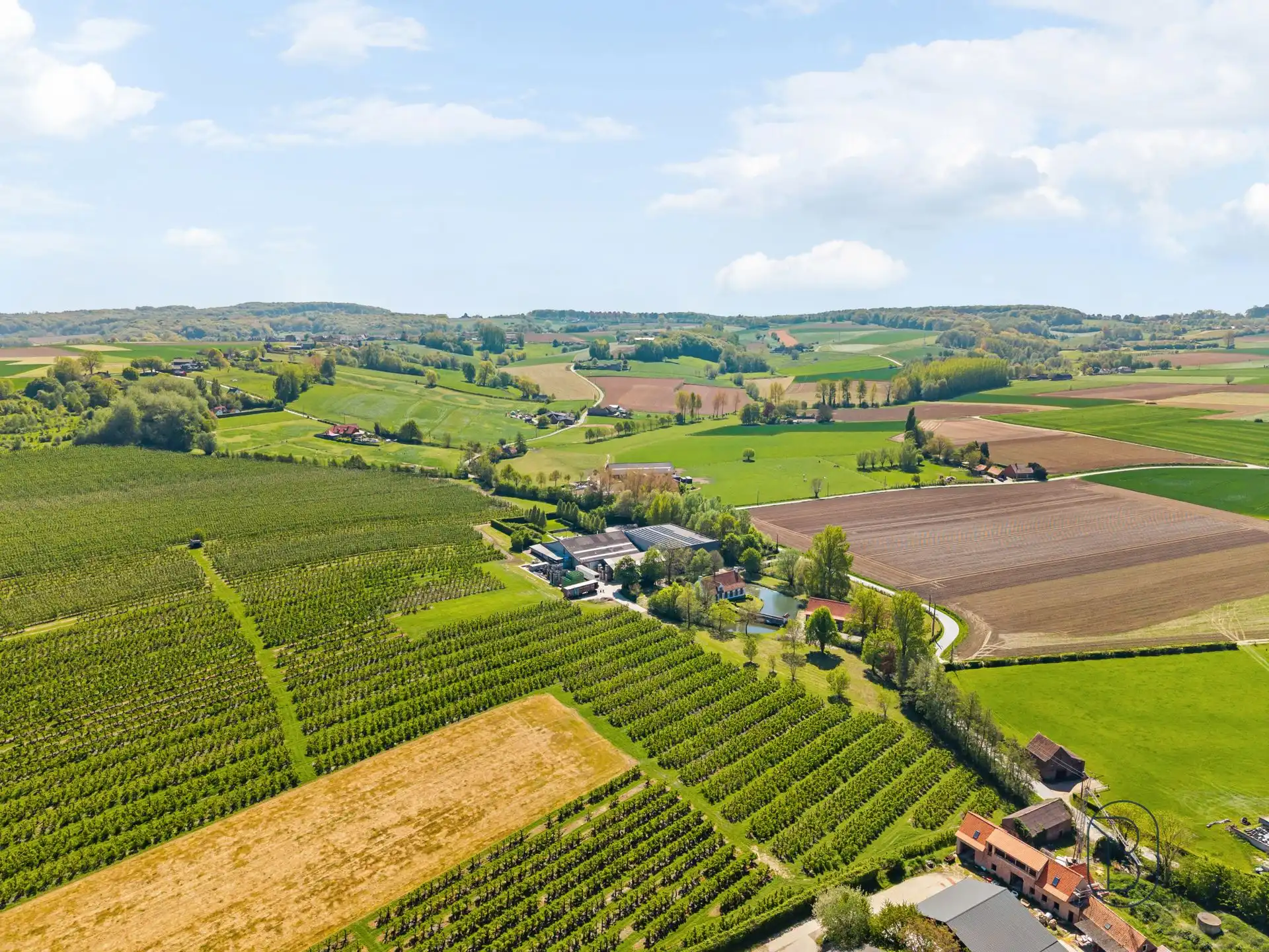 Unieke eigendom op 18 hectare te Kwaremont foto 7
