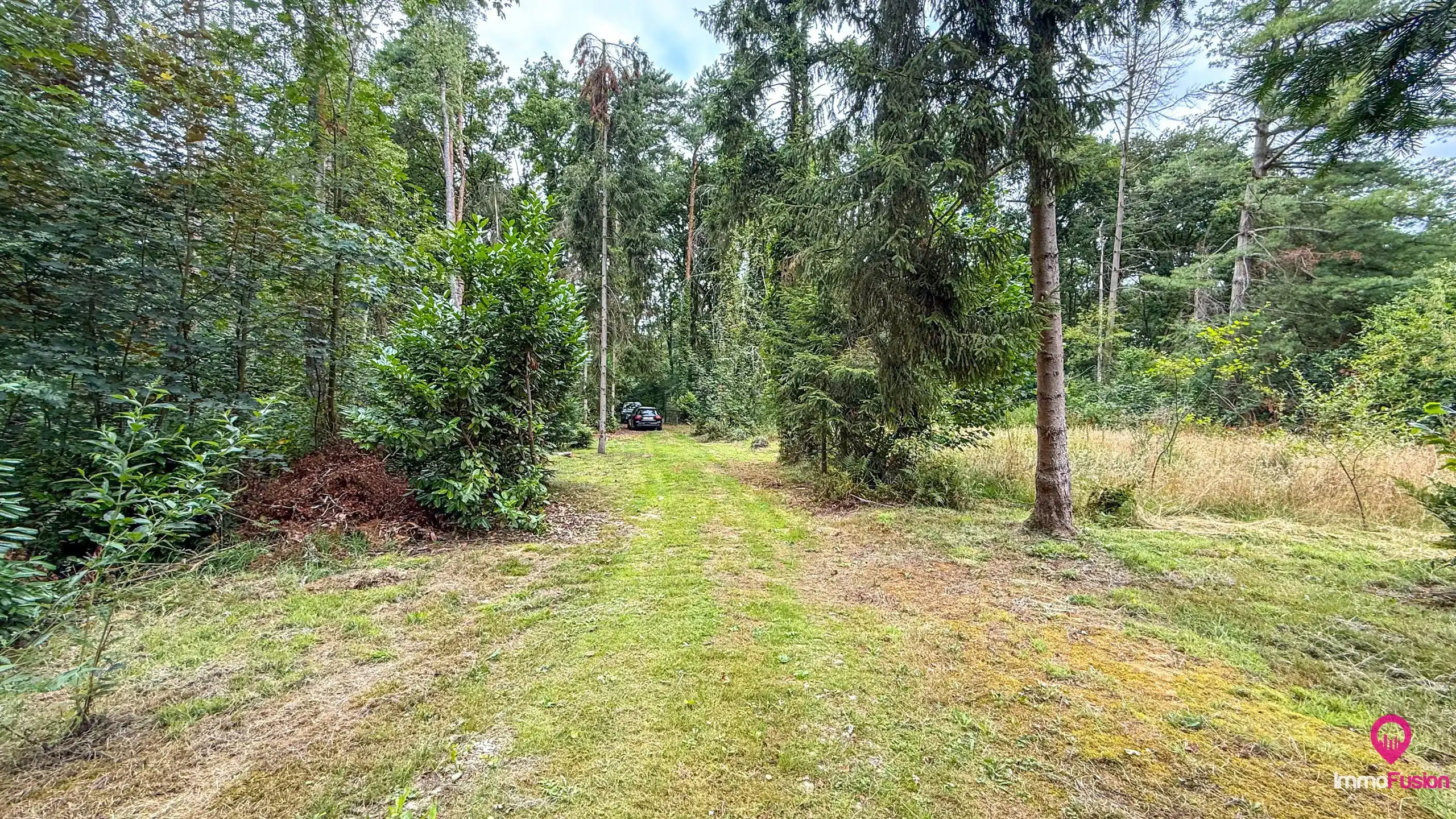 Droom buitenverblijf in Hasselt voor natuurliefhebbers!  foto 42