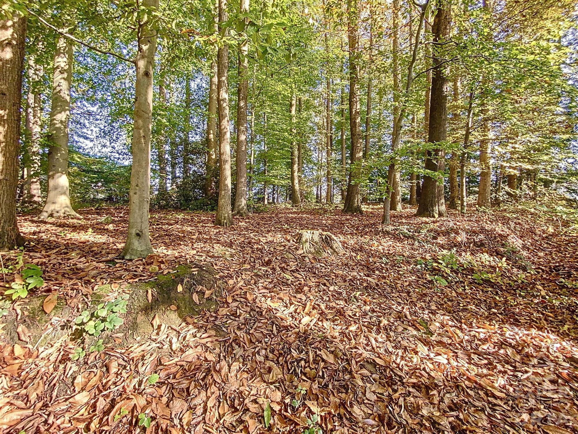 Te koop: Prachtig gelegen stuk grond gelegen in woongebied met landelijk karakter bestemd voor open bebouwing foto 4