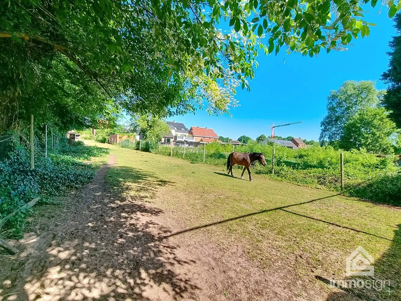 Bouwgrond te koop in Heusden-Zolder – Rustige ligging, groot perceel! Tweewoonst mgl. middels horizontale splitsing! foto 7